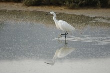 Rezultati Unescovega fotografskega razpisa Voda