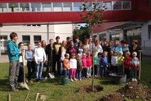 ENO Tree Planting