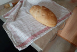 Mohorjev kruh