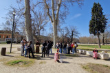 Delavnice